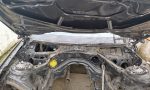 IMG-20250102-WA0001